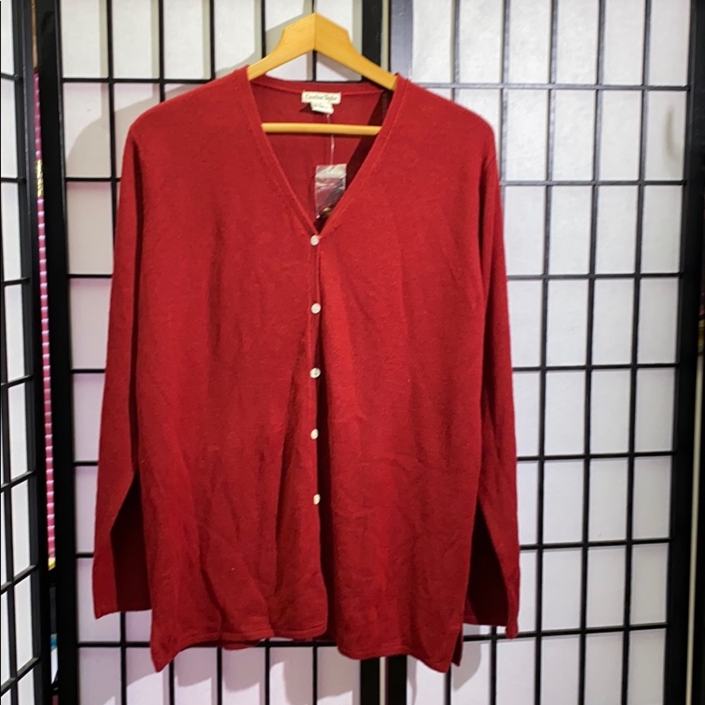 Cynthia Taylor Sweater Size 1X NWT